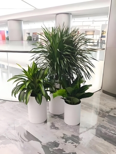 奉化花木租赁设计